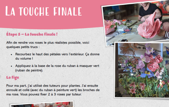 Guide des roses géantes