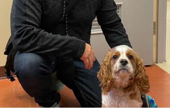 Escouade Câline des CHSLD de l’est