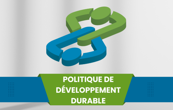 Politique de développement durable