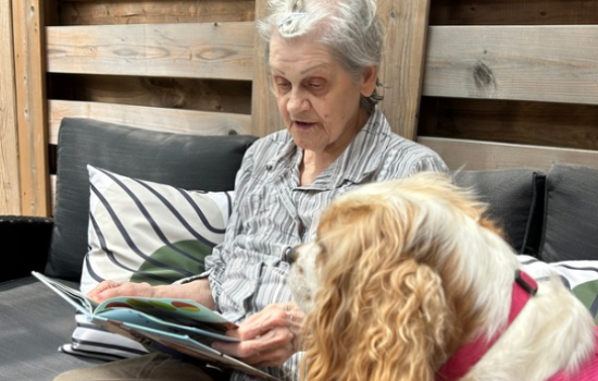 Bibliothèques 4 saisons