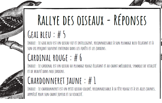 Rallye des oiseaux